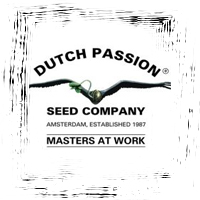 Dutch Passion