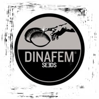 Dinafem